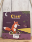 Preview:  Buch Cäsar will Rad fahren