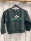 Preview: neu  Pullover  Gr. 104  grün weiße Berge Schrift NP 15,99 € 