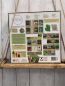Preview:  Spiel Erde
