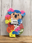 Preview: neu  Puzzle Koalabär 
