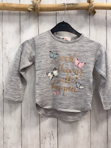 H&M  Pullover  Gr. 110  hellgrau Strick Schmetterlinge goldene Glitzerschrift 