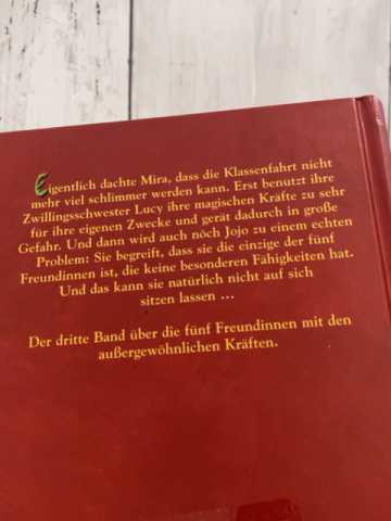  Buch Hexgirls