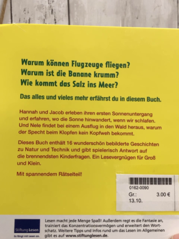   Buch Warum können Flugzeuge fliegen? 
