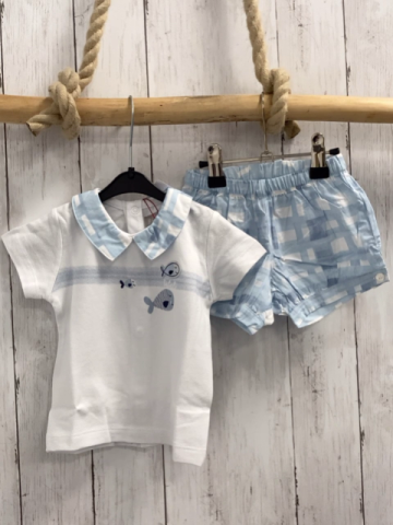 2tlg neu Boboli T-Shirt + Shorts Gr. 74  weiß  Fische blau weiß karieter Kragen + blau weiß kariert