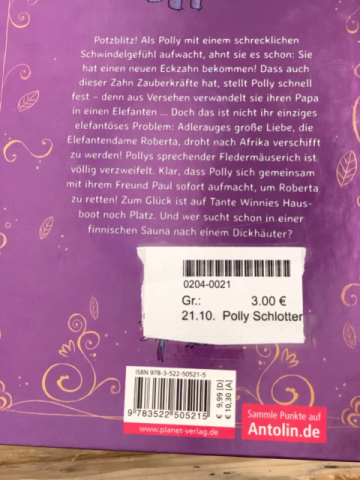 Polly Schlottermotz Buch Ein Rätsel kommt selten allein