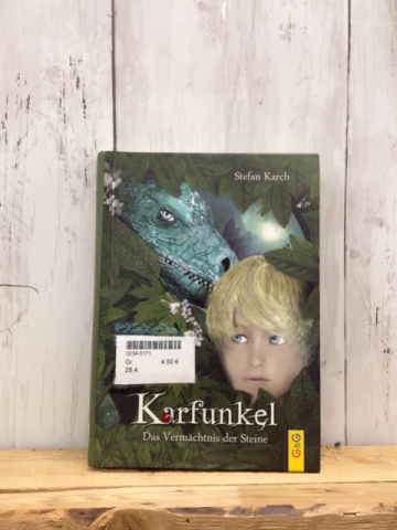   Buch Karfunkel Das Vermächtnis der Steine  