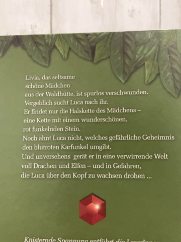   Buch Karfunkel Das Vermächtnis der Steine  