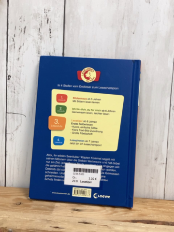 Lesetiger  Buch Piratengeschichten 