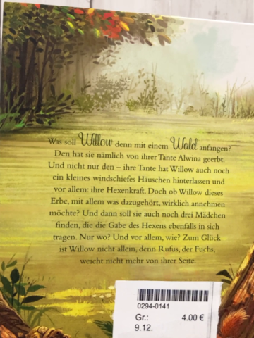   Buch Ein Mädchen namens Willow 