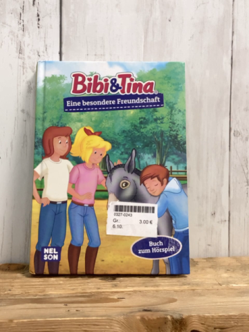  Buch Bibi und Tina