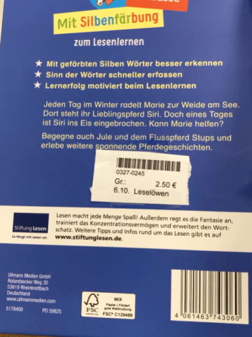Leselöwen Leselernbuch Pferdeabenteuer