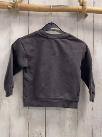 H&M Pullover  Gr. 98  grau Spiderman 