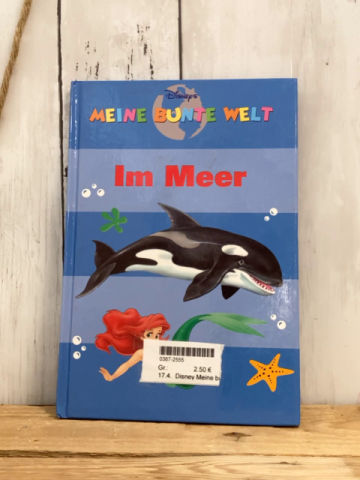 Disney Meine bunte Welt  Buch  Im Meer 