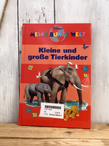 Disney Meine bunte Welt  Buch  Kleine und goße Tierkinder 