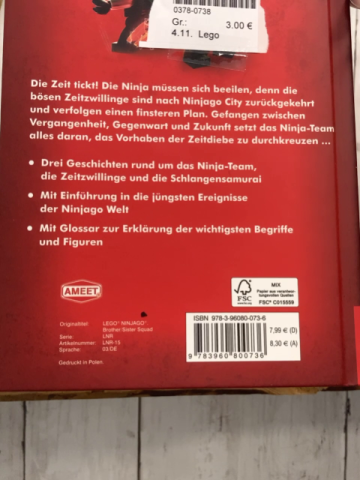 Lego Buch Ninjago Diebe der Zeit 