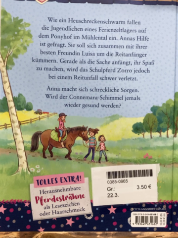  Buch Ein Freund für Anna
