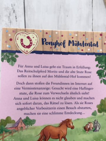  Buch Gib nicht auf, Anna