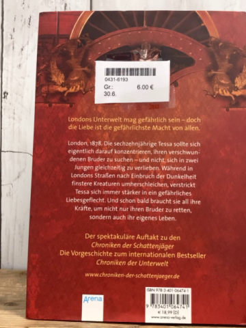   Buch Chroniken der Schattenjäger 