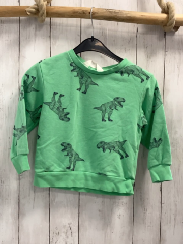 H&M Pullover Gr. 98  grün graue Dinos