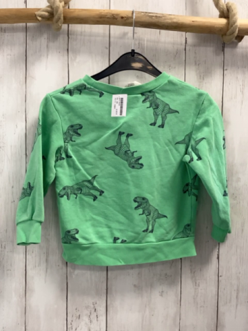 H&M Pullover Gr. 98  grün graue Dinos
