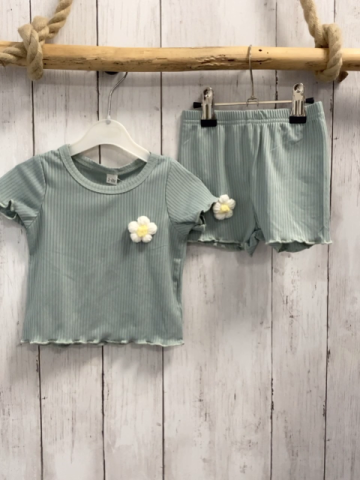 2tlg  T-Shirt + Shorts  Gr. 68  mint Rippen weiße Blumen 