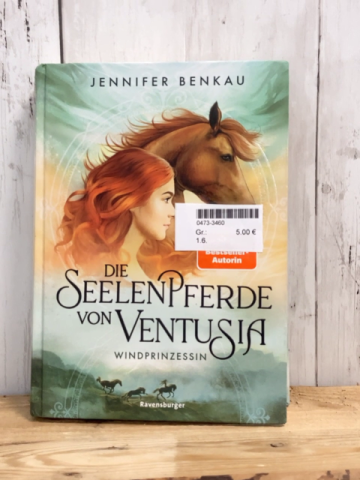   Buch Die Seelenpferde von Ventusia 