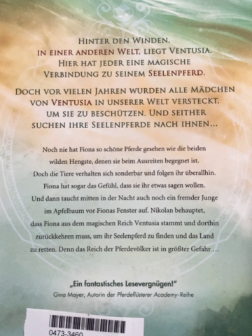   Buch Die Seelenpferde von Ventusia 
