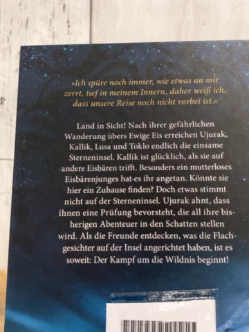 Seekers  Buch Sternengeister 