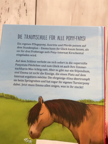 Pony Internat  Buch Ein Glückspferd für Emma 