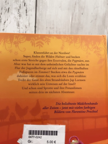   Buch Die Wilden Hühner auf Klassenfahrt