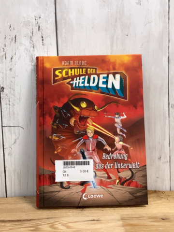   Buch Schule der Helden Bedrohung aus der Unterwelt 