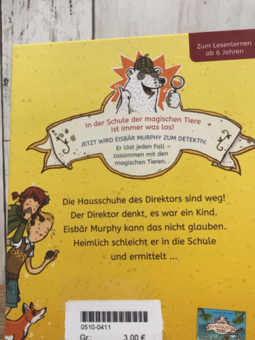 Schule der magischen Tiere  Buch Der Hausschuhdieb