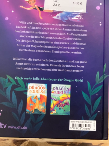   Buch Dragon Girls Willa, der Silberdrache 