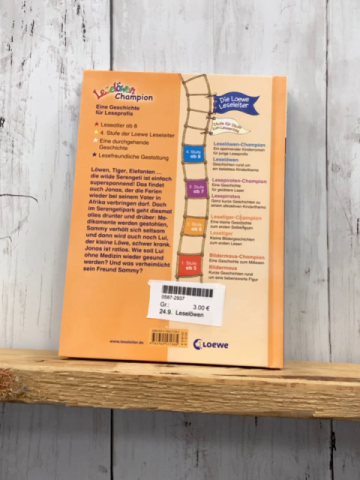 Leselöwen Leselernbuch Einbrecher im Camp