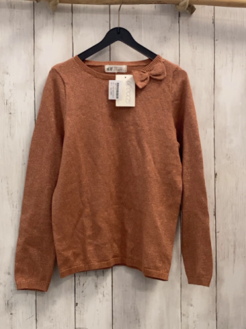 neu H&M  Pullover  Gr. 134/140  bronze mit Glitzer NP 9,99 € 