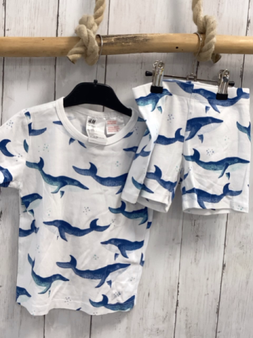 2tlg H&M  T.Shirt + Shorts  Gr. 104  weiß blaue Wale 