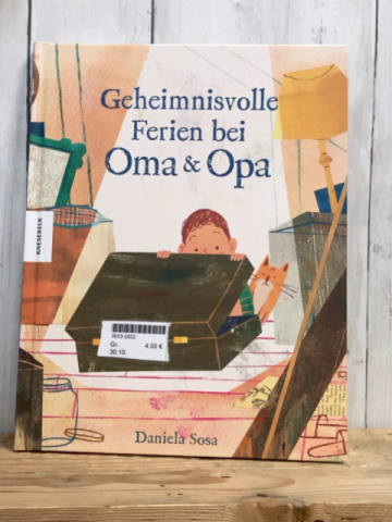  Buch Geheimnisvolle Ferien bei Oma & Opa 