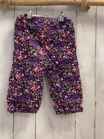 H&M  Hose  Gr. 74  brobeere Kord Blumen gefüttert 