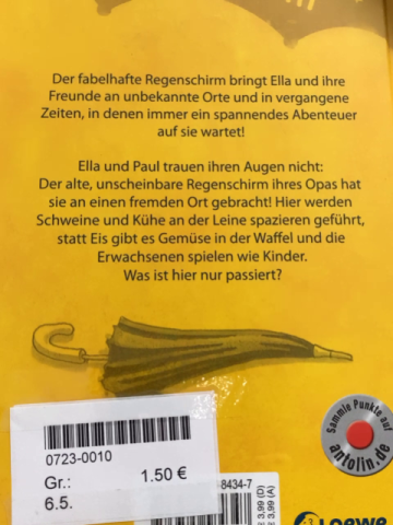  Buch Der fabelhafte Regenschirm Die verrückte Stadt 