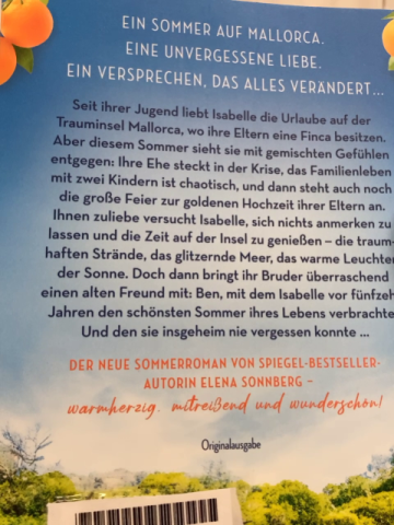  Taschenbuch Das Versprechen eines Sommertags 