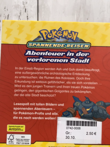   Buch Pokemon Abenteuer in der verlorenen Stadt 