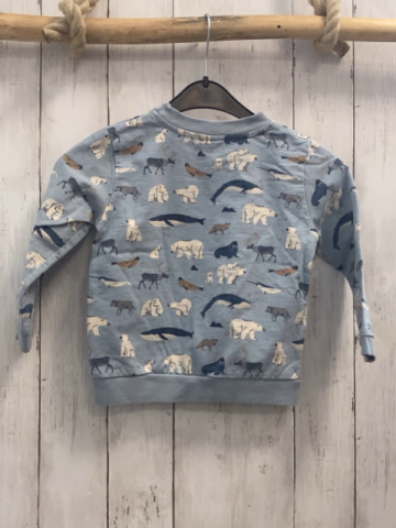 Alana  Pullover  Gr. 104  hellblau Arktivbewohner 
