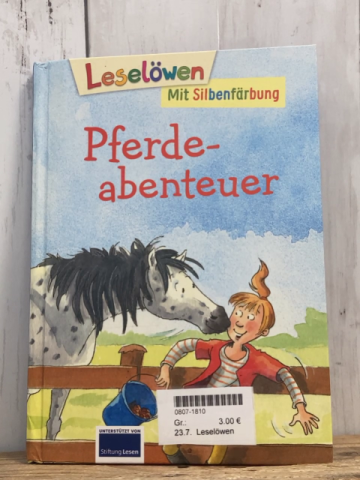 Leselöwen  Buch Pferdeabenteuer 