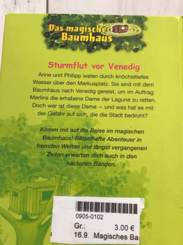 Magisches Baumhaus  Buch Sturmflug vor Venedig 