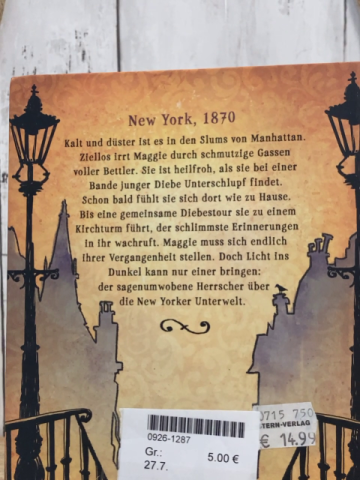   Buch Maggie und die Stadt der Diebe 