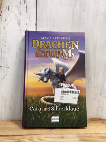   Buch Drachensturm Cara und Silberklaue 