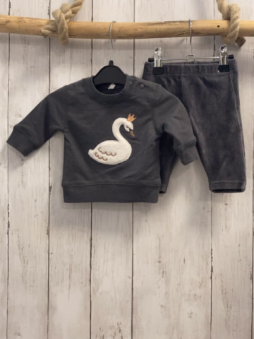 2tlg  Pullover + Leggings  Gr. 50  grau Schwan + Nicky 
