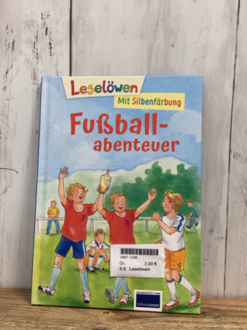 Leselöwen  Buch Fußballabenteuer 