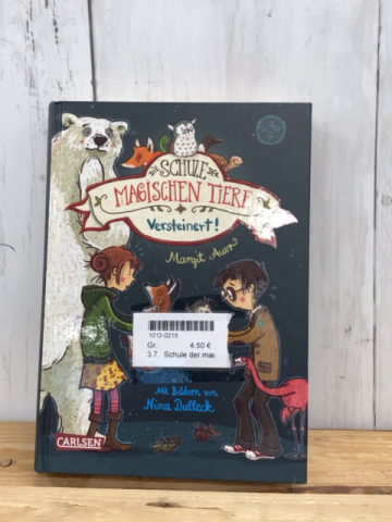 Schule der magischen Tiere  Buch Versteinert 