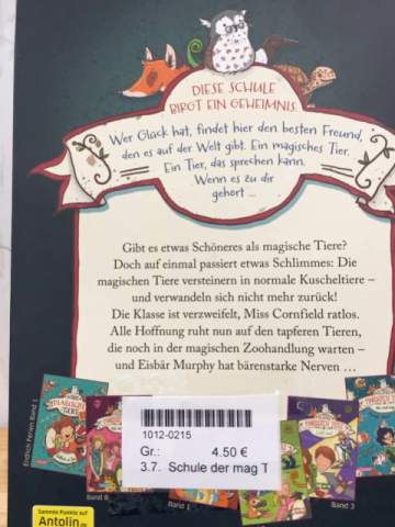 Schule der magischen Tiere  Buch Versteinert 
